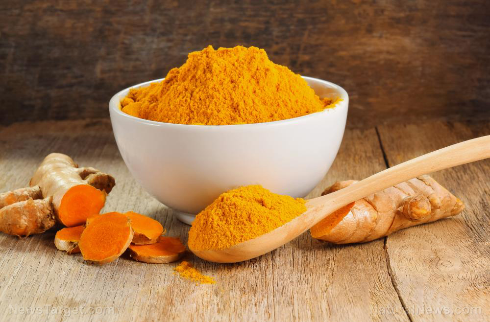 Curcumin therapy prevents ethanolinduced fatty liver disease